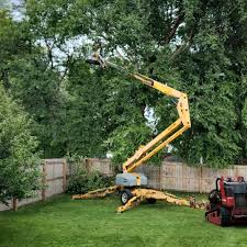 Pest Control for Lawns in Lake Meade, PA