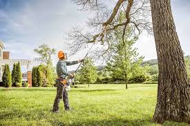 Best Tree Mulching  in Lake Meade, PA